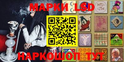 мяу мяу мука Будённовск