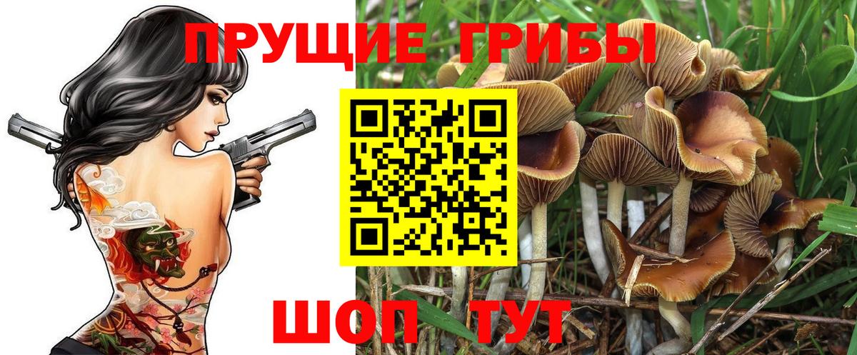 Галлюциногенные грибы Cubensis Лабытнанги