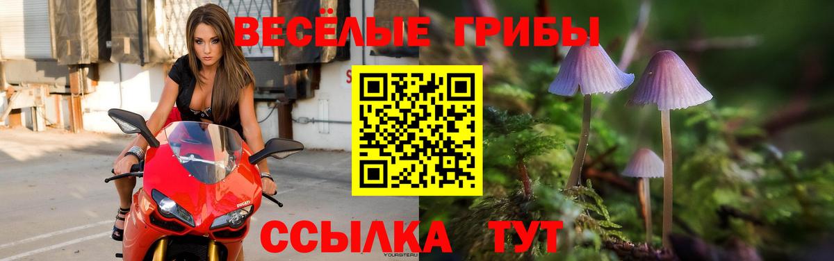 Лабытнанги  Псилоцибиновые грибы MAGIC MUSHROOMS  Вход с VPN  Галлюциногенные грибы мухоморы 
